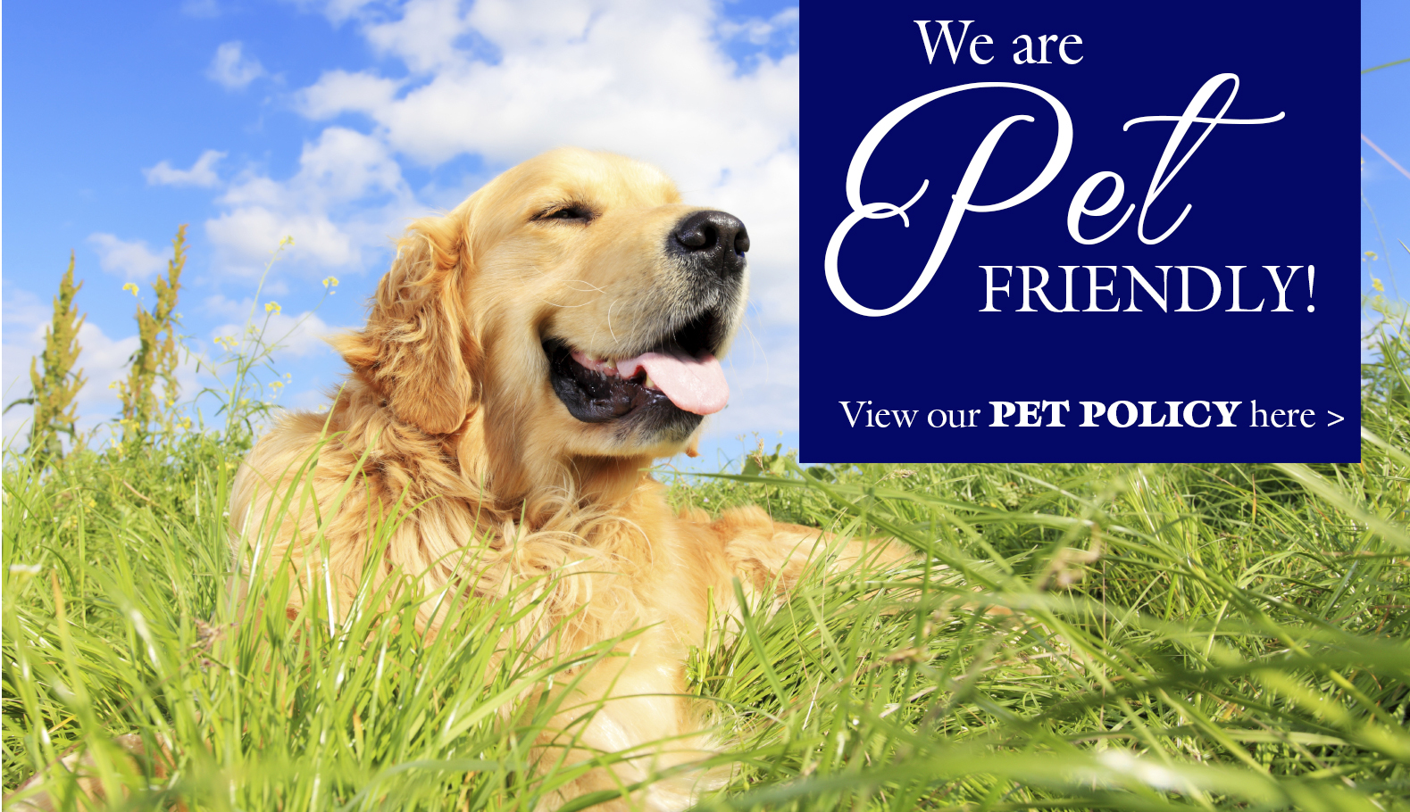Sunny Brook Cottages is Pet Friendly!